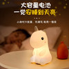 Creative silica gel night light, toy for bedroom, lights for bed, internet celebrity, Birthday gift