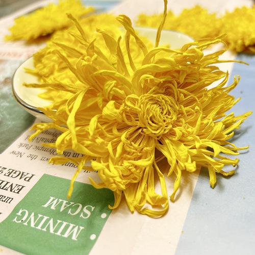 New goods wholesale bulk Huangshan Golden Silk Chrysanthemum, local source Golden Silk Chrysanthemum tea, one flower per cup, Golden Silk Chrysanthemum.