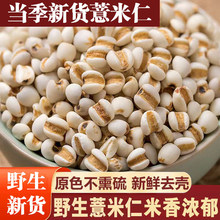 С޲����޲��޲������؛500g޲��������s�Z޲���ʼt����С������