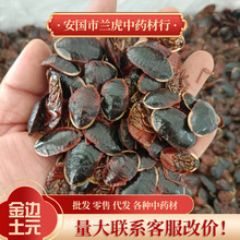 中药材金边土元500g克大个土鳖虫金边黄边土鳖虫 地鳖虫金边土元