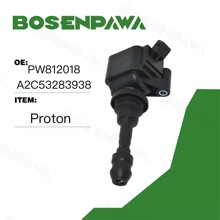 ������ Proton ����  �����Ȧ PW812018 A2C53283938