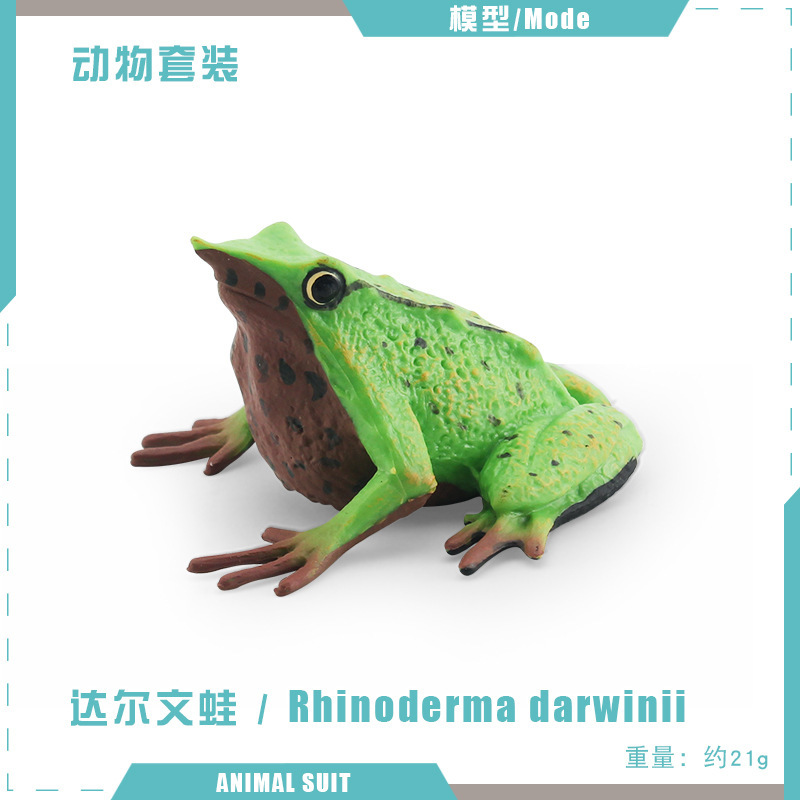 Sólido artificial abeja araña mariposa Naruto ciempiés insecto modelo animal juguete de los niños arena bandeja Decoración