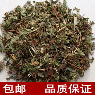 ��ș�� ����ɳ�� ����ɳ�� ��ɳ�� �_�W�� �r���