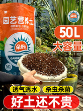 ǠIBBNͨÌü÷NЙC̿Ҭu