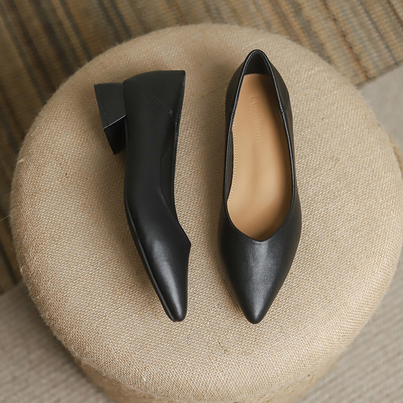 French-Style Comfortable Soft Leather Block Heel Shoes for Women, 2026 New Spring Pointed Toe Shallow Single Shoes, Versatile Work Shoes, Black Professional