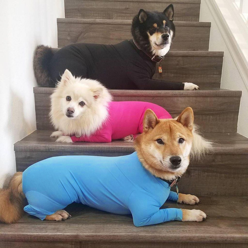Medium and large size dog base shirt four-legged tights pet dog cat four-legged clothes home clothes supplies Medium and large size dog base shirt four-legged tights pet dog cat four-legged clothes home clothes supplies
