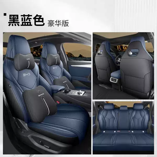 Black and blue luxury version [rear all -inclusive]