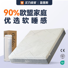 跨境酒店海绵床垫超软席梦思记忆棉mattress30cm加厚软垫卷包床垫