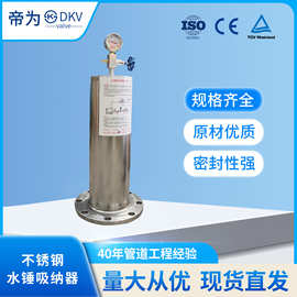 帝为DKV 不锈钢活塞式水锤吸纳器 管道水泵用