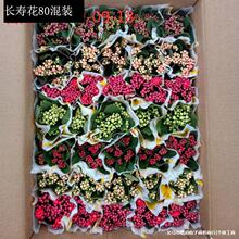 ����ֱ���L�ۻ����b�҃��ذꎧ�����^��ֲ��Gֲ�ļ��_��С����