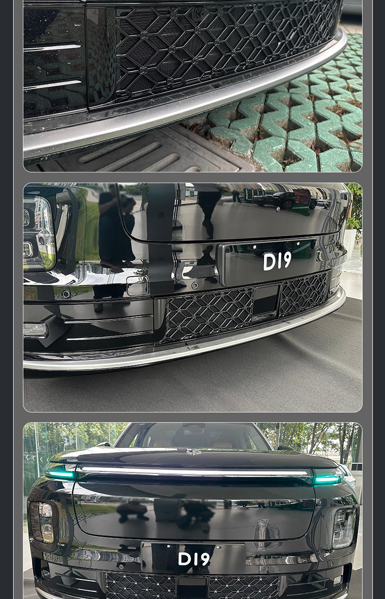 Suitable for Leapmotor D19, brand new Songgu Green Starry Sky insect-proof net, dust-proof water tank protection, integrated snap-on grille