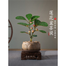 �U��С�����������ֲ���҃������ļ��͏d�^�~�k���ҾGֲ���B�辰