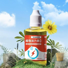 衣钩/挂钩;厨房小工具;清洁球/刷