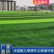 ����������w����ƺ������׃��@�و��h������Gɫ�����ƺ�S��