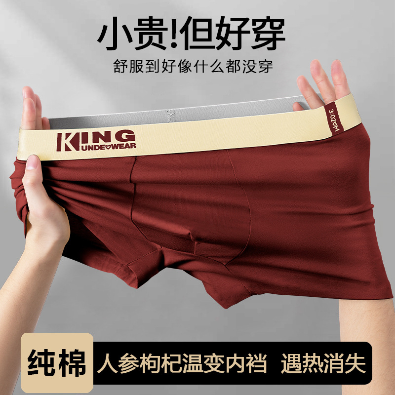 Pantalones interiores de hombre algodón antibacteriano para hombres 2025 nuevos pantalones cortos de ángulo plano transpirables para niños adolescentes