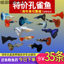 ��ȸ�~С�~�Ꭷ�~ȫ�N�������B�^�p�~С�͵�ˮ���R�~����~