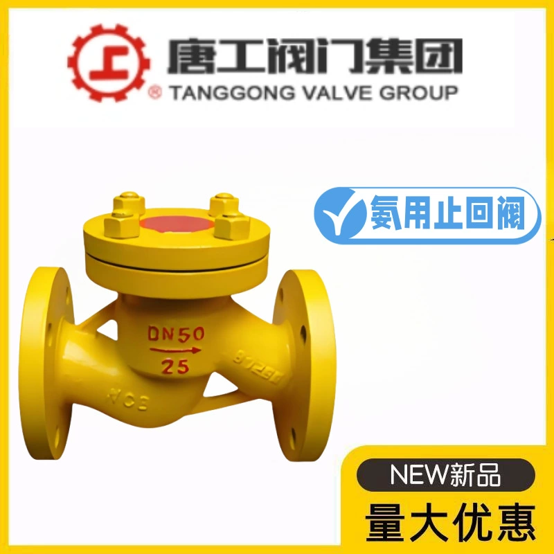 Группа клапанов Tanggong H41B-10/16/25C, обратный клапан из литой стали для аммиака, клапан для сжиженного газа, газа, жидкого аммиака