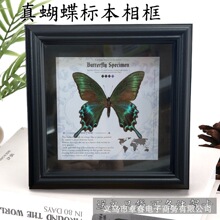 ������˱�����ֹ����w��Ʒ�ҾӔ[���Ʒ�ڒ��؄e�����նY��YƷ