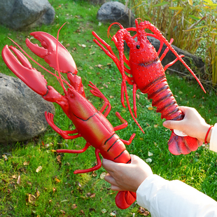 ���r���з���r�zӰģ�Ͳ�Ʒ��������J֪���Ϲ��z��̖����