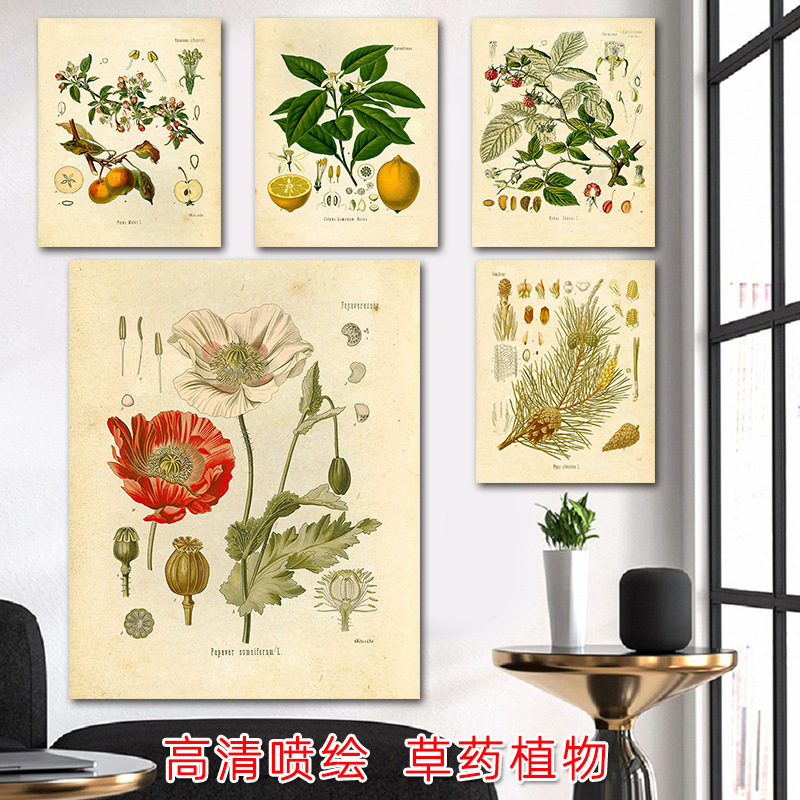Amazon Herbal Plant Hanging Painting, Vintage Spray-Painted Canvas Living Room Painting, Fruit and Flower Bedroom Decorative Wall Painting