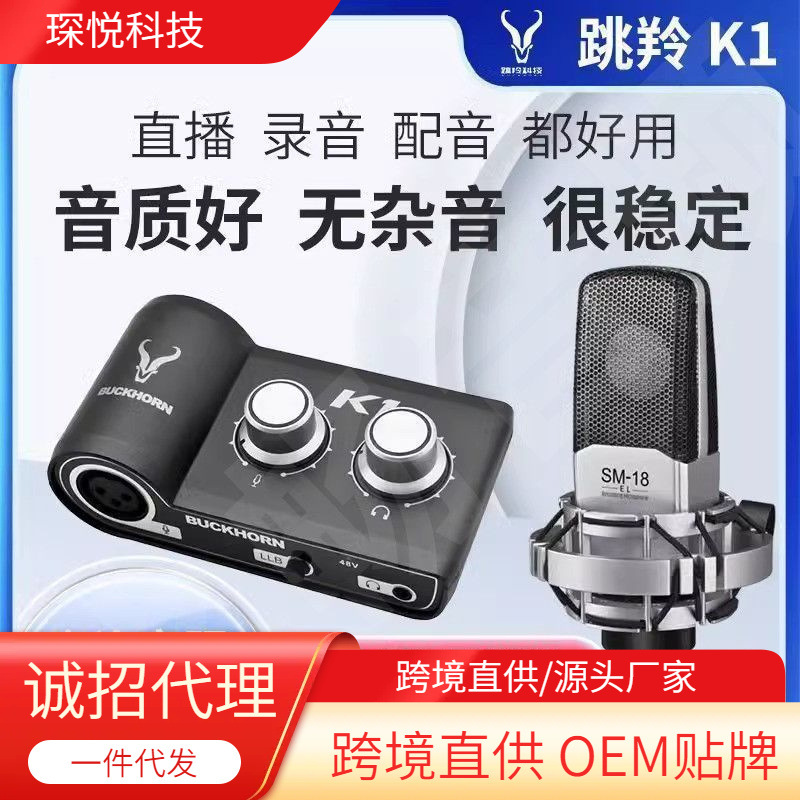 Buckhorn/k1 USB External Sound Card - Designed for Mobile Phones and Computers, Ideal for Live Streaming, Recording, Singing, and Wired Monitoring
