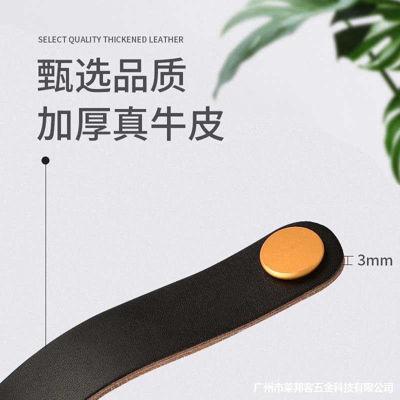 Drawer leather handcase door Modern minimalist wardrobe door leather…