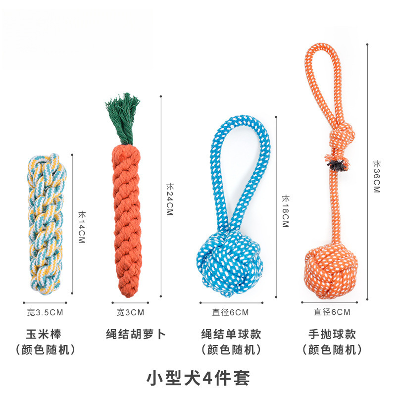 소형견 4종 세트