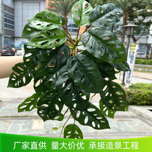 仿真植物背景墙装饰厂家批发高端手感龟背壁挂工程软装布景绿植