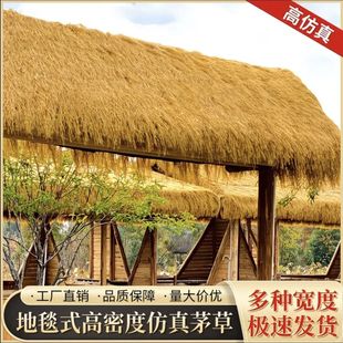 �������é������ͥԺë���r�Ҙ����ᾰ�^��ͤ�b��浾�ݷ�ˮ