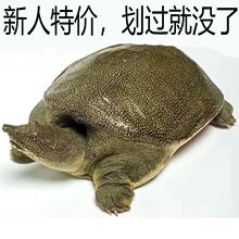 ���~�r���������MС���~�繫ĸ���A�Mˮ�~�F�~�خa�Bֳ�a�����uͨ