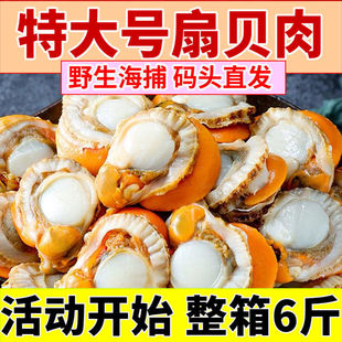 �F����ؐ���ش�̖��ؐ�����r���Ұ����ؐȫؐ������ؐ���C����ș