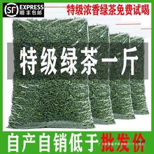 W新茶叶高山云雾绿茶春茶毛尖茶日照充足浓香批发碧螺春中国大陆