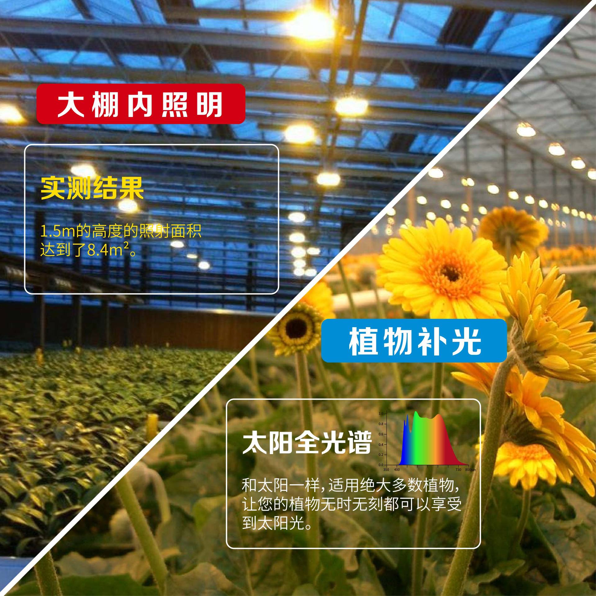 可定制全光谱种植户外IP65led植物补光灯100W温室大棚蔬菜生长灯