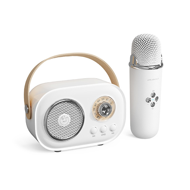 C20PLUS ワイヤレスマイクマイクオーディオ統合ワイヤレス Bluetooth スピーカーカラオケ子供の歌家族 ktv|undefined
