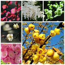 t÷/÷/G÷/÷/÷/÷/D÷/÷NӻľN