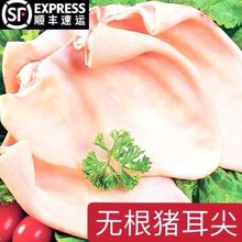 耳片无根猪耳朵新鲜冷冻猪耳片无根猪耳耳尖干净无毛新鲜直发