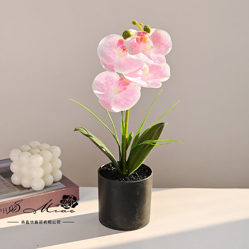Flores falsas 4 sensación de orquídeas mariposa pequeña flor de bonsai decoración interior adornos flores artificiales imitación de maceta image 10
