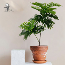 高端轻奢北欧风人造花仿真绿植散尾葵仿真树商场软装家居落地造景