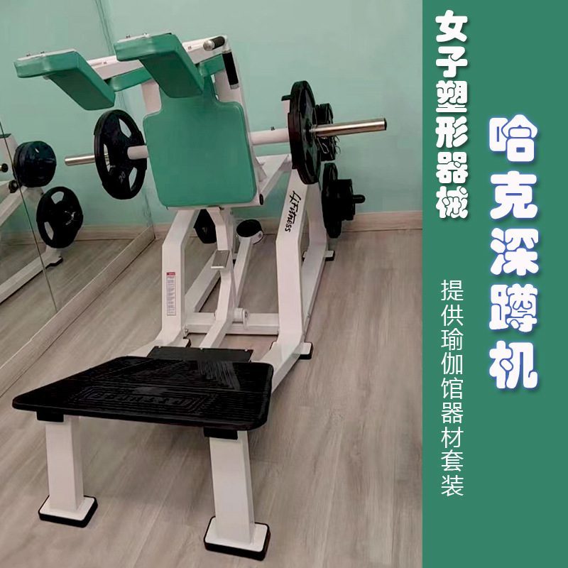 Gym Club private education studio Yoga Studio women's leg hip shaping hake squat machine equipment