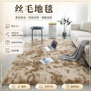 加厚超柔型丝毛客厅卧室飘窗休闲少女床边房间大面积满铺地毯地垫