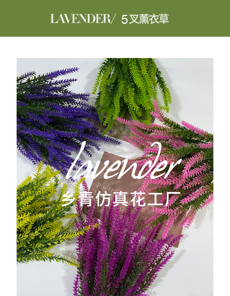 薰衣草-4_02.jpg