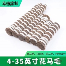 10-120公分马尾毛马毛动物鬃毛马鬃马尾巴毛二胡弓拂尘毛刷麦太保