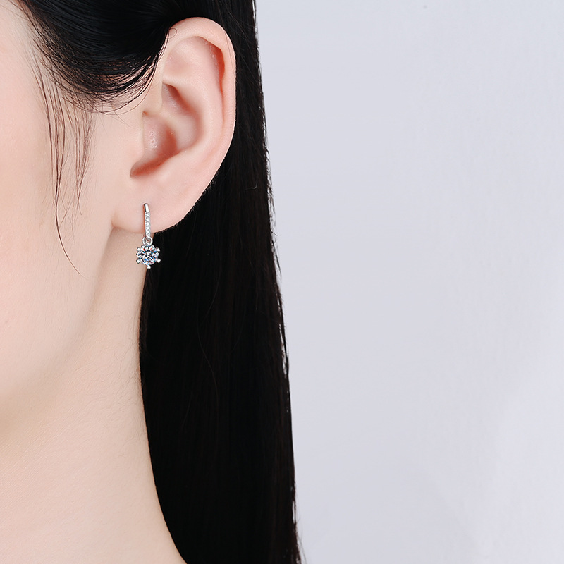 s925 Silver Earrings