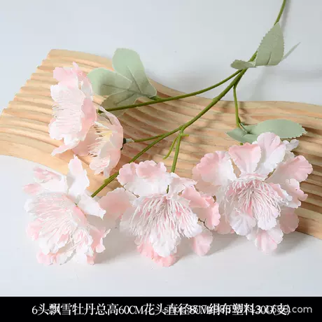 Snow peony pink