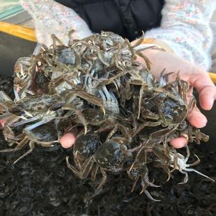 ���K��ˮ���lз���з�Bֳ��з�����A�q���з��N���絾��ˮ�a