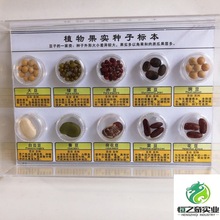 NӘ˱ ľĘ˱ ݘ˱ ֲ̌W˱