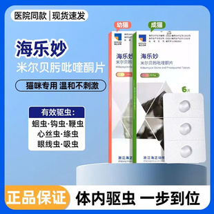 ������؈��x�w����؈���ó�؈��؈������������x������؈����x