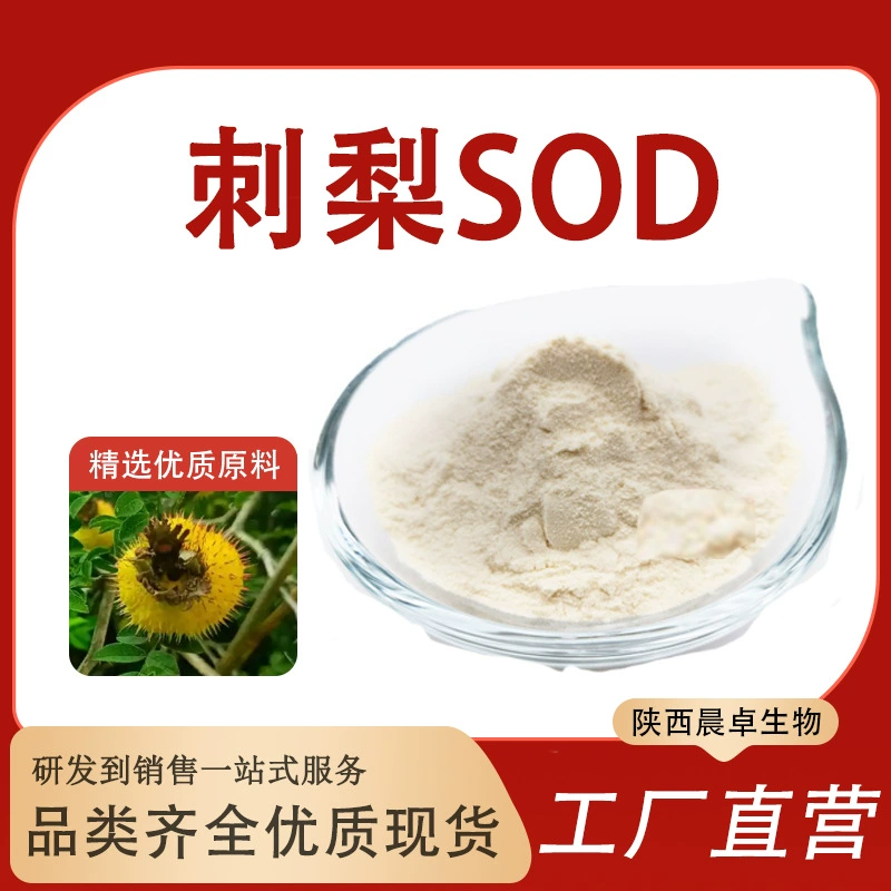 СОД из кактуса опунции Экстракт кактуса опунции VC супероксиддисмутаза 20000u/g 150000u/g водорастворимая