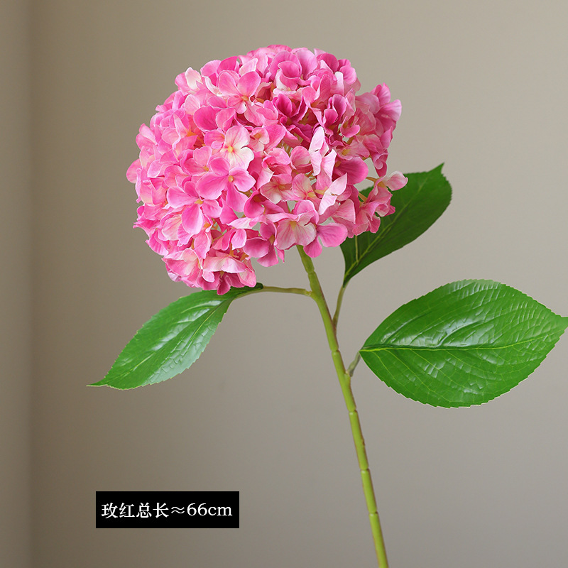 로즈 레드