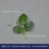 Rose Leaf Thorn